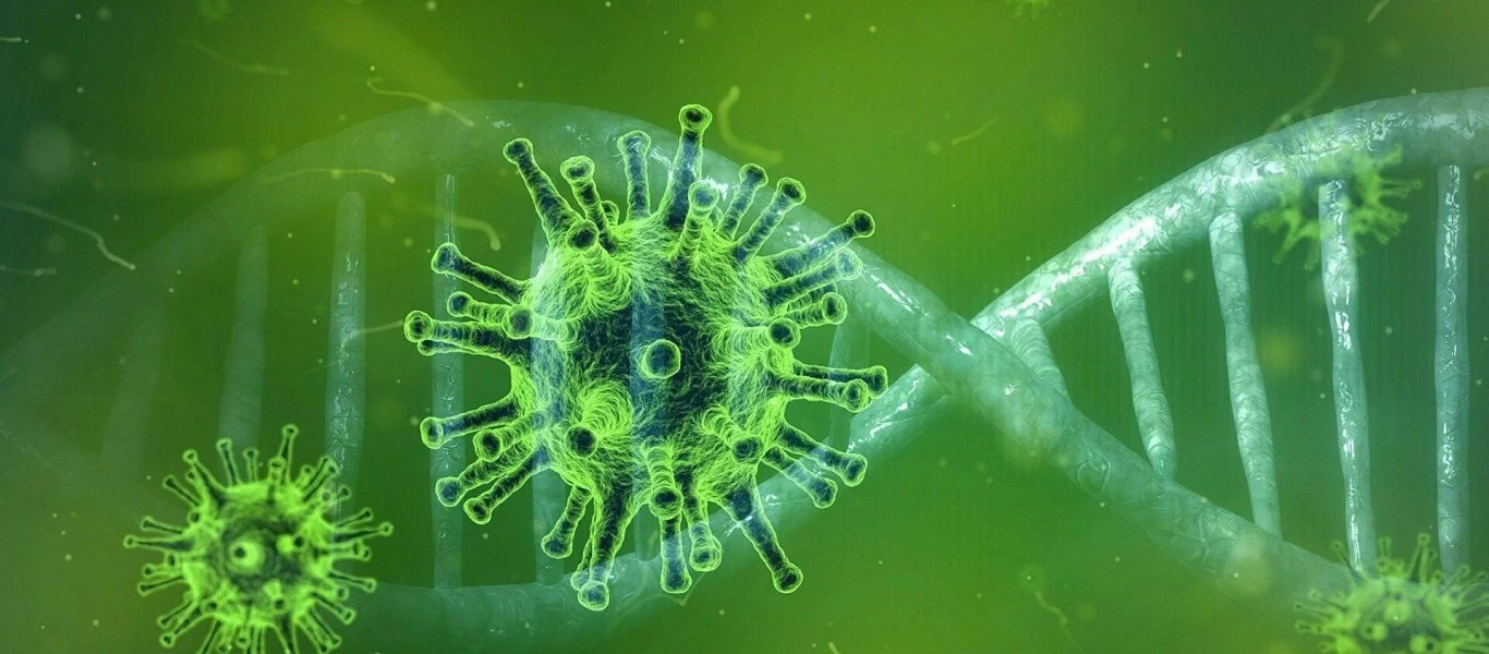 Κορωνοϊός: Τι είναι ο «μαύρος μύκητας»; - Πώς αναπτύσσεται & πώς μεταδίδεται;